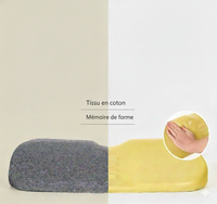 Coussin ergonomique à mémoire de forme avec housse en coton : soutien confortable de la nuque, tissu doux et résistant. Idéal pour relaxation, lecture et voyage.